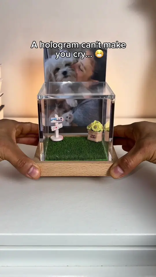 Pet Holographic Projector Box TikTok ad preview