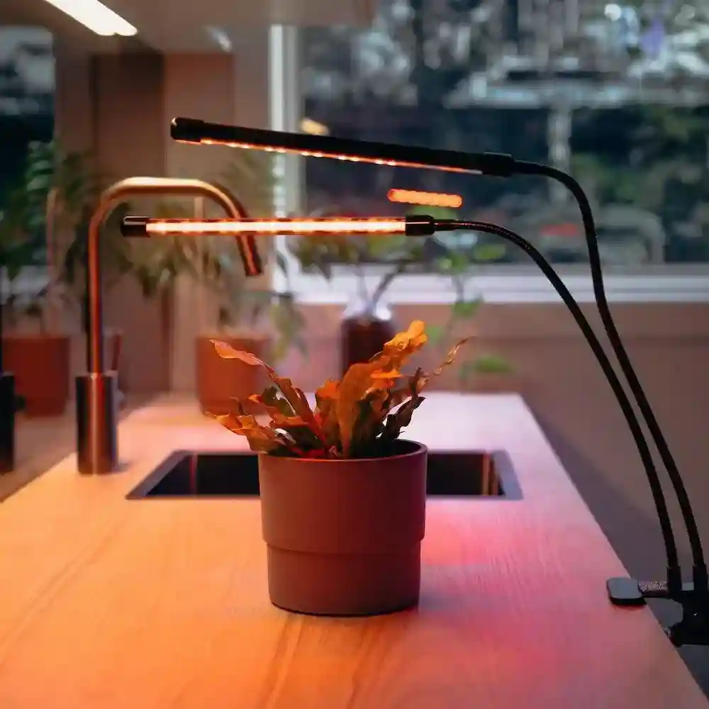 LED Plant Grow Light illuminating indoor plants, showcasing its effectiveness for home gardening