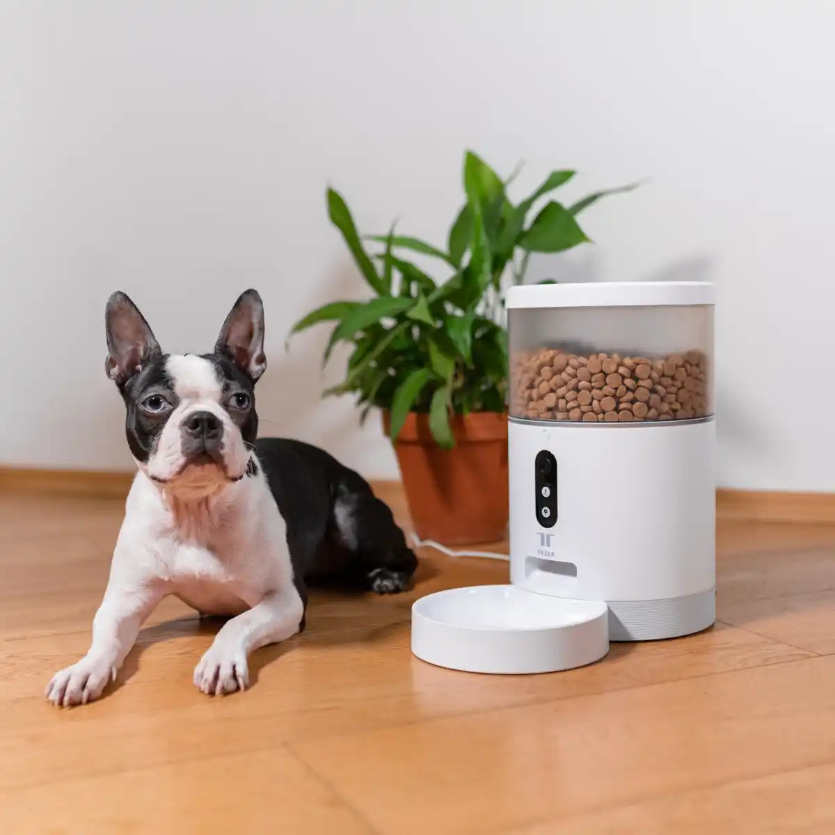 Smart pet feeder with built-in camera and app control